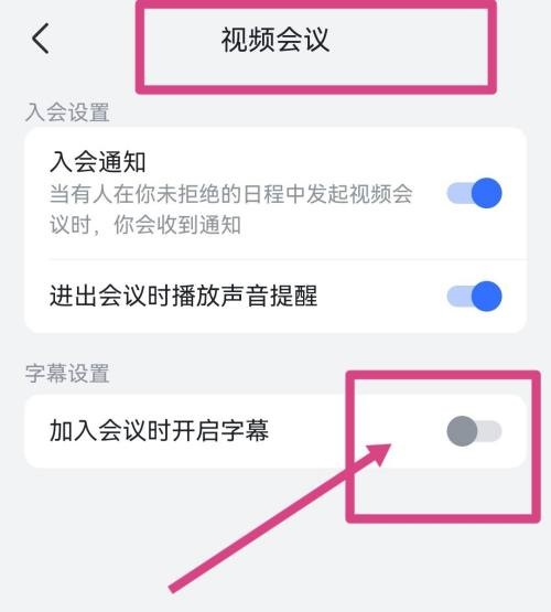 飞书怎么开启视频会议字幕？飞书开启视频会议字幕教程截图