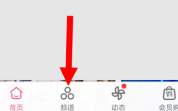 如何在哔哩哔哩安卓版查找“电音”频道？在哔哩哔哩安卓版查找“电音”频道的方法截图