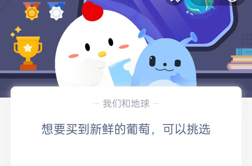 想要买到新鲜的葡萄，可以挑选?支付宝蚂蚁庄园5月16日答案