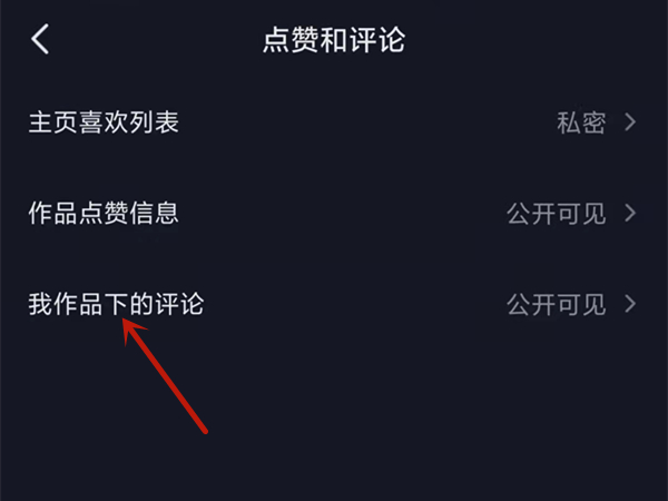 抖音怎么设置不让别人看到评论？抖音设置不让别人看到评论教程截图