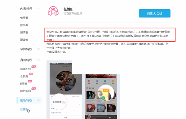 哔哩哔哩超级大会员有什么用?哔哩哔哩超级大会员作用介绍截图