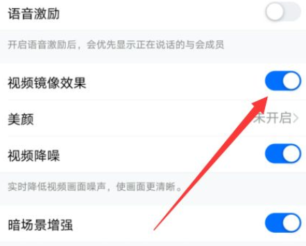 《钉钉》怎么设置视频镜像？《钉钉》设置视频镜像教程截图