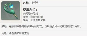 原神小灯草哪里多 原神小灯草有什么用
